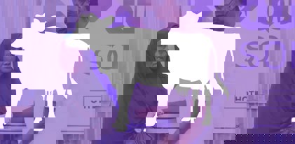 Part de vache pour l'Aïd 