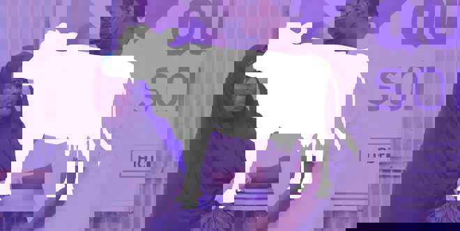 Part de vache pour l'Aïd 