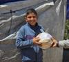 Urgence à Gaza