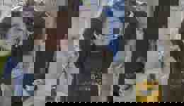 Parrainer un orphelin en Palestine | Human Appeal Belgique 