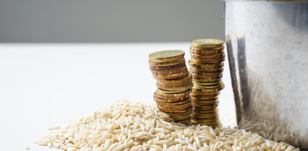 Il est temps de verser votre Zakat El Fitr 