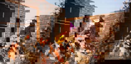 Construire un poulailler