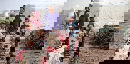 Fonds Hiver Général 